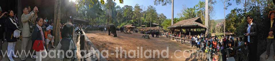 Maesa%20Elephant%20Camp