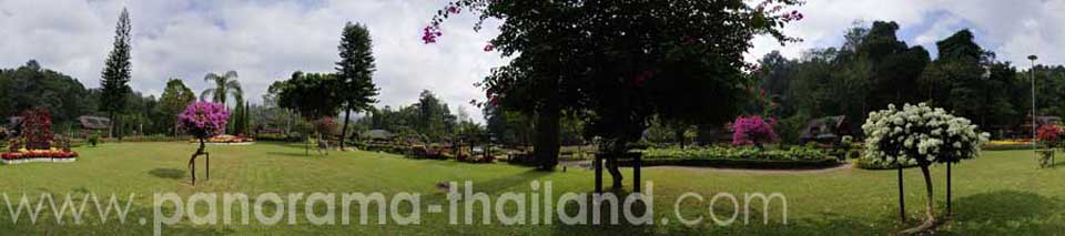 Krisdadoi Chiang Mai