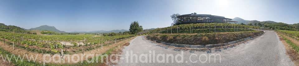 Hua Hin Hills Vineyard